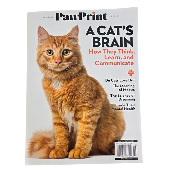 Paw Print Other - A CAT'S BRAIN HOW THEY THINK, LEARN & COMMUNICATE 2024 PAW PRINT Magazine  NEW